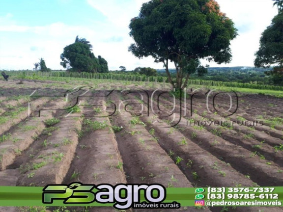 Imagem Terreno à Venda, 80.000 m² em Cidade Balneária Novo Mundo I - Conde Imagem Terreno à Venda, 80.000 m² em Cidade Balneária Novo Mundo I - Conde
