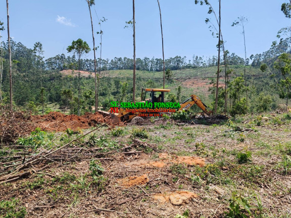 Imagem Chácara à Venda, 20.000 m² em Centro - Monteiro Lobato