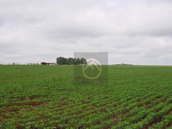 Imagem Fazenda à Venda, 2.480.000 m² em Centro - Campina Da Lagoa Imagem Fazenda à Venda, 2.480.000 m² em Centro - Campina Da Lagoa