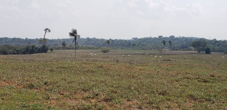Imagem Imóvel com 5 Quartos à Venda, 4.017.000 m² em Zona Rural