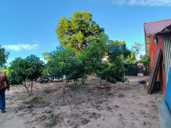 Imagem Chácara à Venda, 35 m² em Arapongas