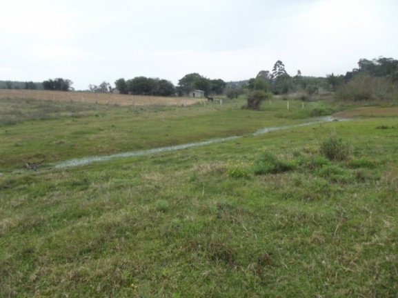 Imagem Chácara com 1 Quarto à Venda, 108.000 m² em Itapuã - Viamão