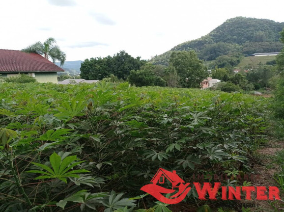 Imagem Terreno à Venda, 2 m² em Bom Fim - Bom Princípio Imagem Terreno à Venda, 2 m² em Bom Fim - Bom Princípio