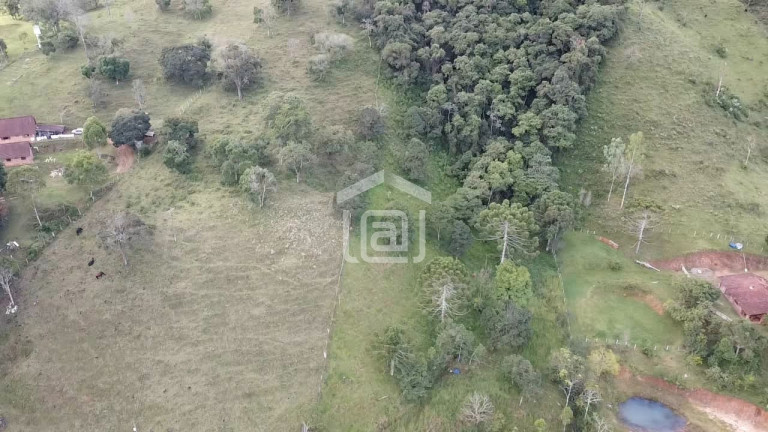 Imagem Imóvel com 3 Quartos à Venda, 15.000 m² em Amendoim - Caldas Imagem Imóvel com 3 Quartos à Venda, 15.000 m² em Amendoim - Caldas