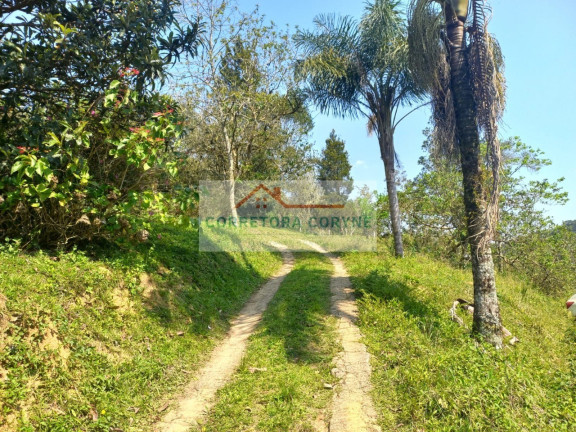 Imagem Imóvel com 2 Quartos à Venda, 24.200 m² em Palmeiras - Juquitiba Imagem Imóvel com 2 Quartos à Venda, 24.200 m² em Palmeiras - Juquitiba