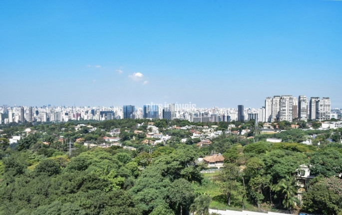 Imagem Apartamento com 4 Quartos à Venda, 343 m² em Morumbi - São Paulo
