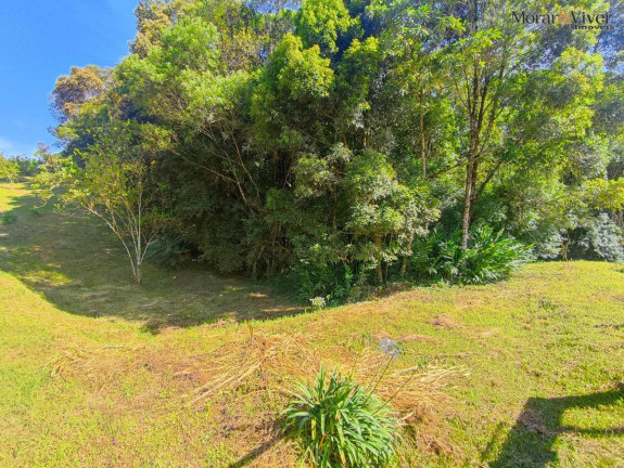 Imagem Chácara com 2 Quartos à Venda, 7.724 m² em Loteamento Chácara Chantecler - Piraquara Imagem Chácara com 2 Quartos à Venda, 7.724 m² em Loteamento Chácara Chantecler - Piraquara