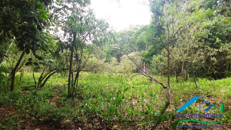 Imagem Chácara à Venda, 7 m² em Centro - Paraisópolis Imagem Chácara à Venda, 7 m² em Centro - Paraisópolis