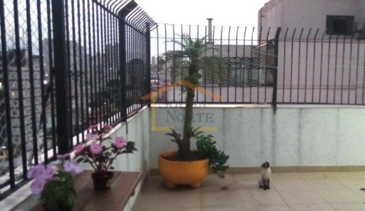 Imagem Cobertura com 3 Quartos à Venda, 147 m² em Jaçanã - São Paulo