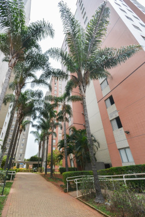 Imagem Apartamento com 3 Quartos à Venda, 64 m² em Cambuci - São Paulo
