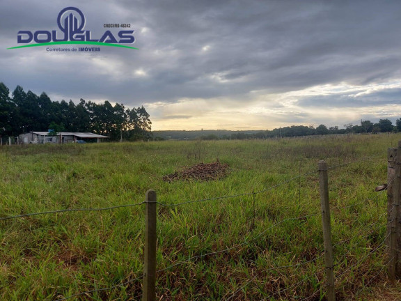 Imagem Chácara à Venda, 20.000 m² em Viamão Imagem Chácara à Venda, 20.000 m² em Viamão