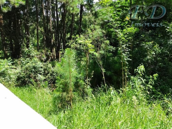 Imagem Chácara com 3 Quartos à Venda, 151.000 m² em Terra Preta - Mairiporã Imagem Chácara com 3 Quartos à Venda, 151.000 m² em Terra Preta - Mairiporã