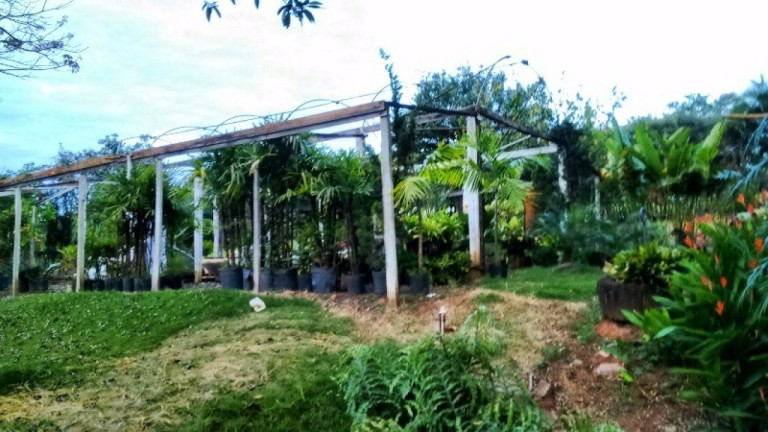 Imagem Imóvel com 2 Quartos à Venda, 500 m² em Rural - Limeira