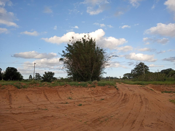 Imagem Chácara à Venda, 20.000 m² em águas Claras - Viamão Imagem Chácara à Venda, 20.000 m² em águas Claras - Viamão
