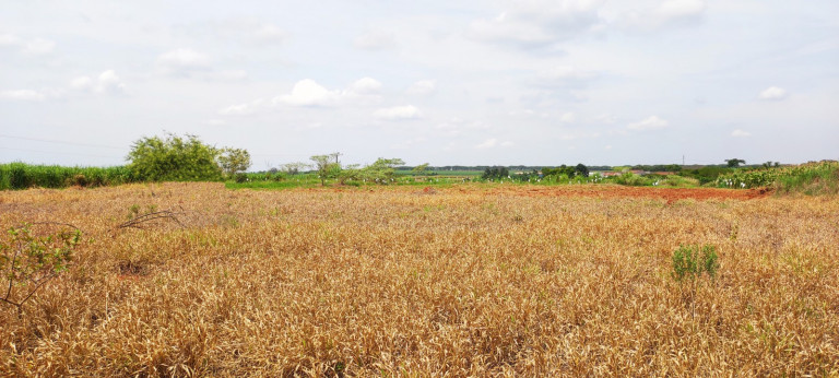 Imagem Terreno à Venda, 20.000 m² em área Rural De Iracemápolis - Iracemápolis Imagem Terreno à Venda, 20.000 m² em área Rural De Iracemápolis - Iracemápolis