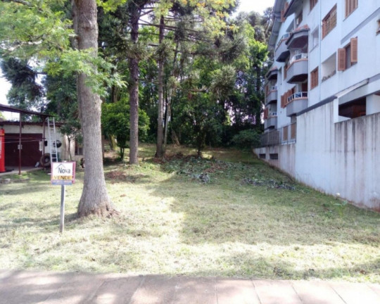 Imagem Imóvel à Venda, 363 m² em Logradouro - Nova Petrópolis