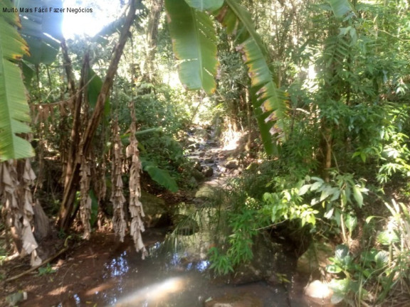 Imagem Terreno à Venda, 2 m² em Linha Temerária - Nova Petrópolis