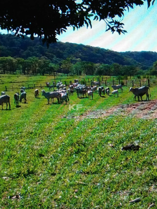 Imagem Imóvel com 5 Quartos à Venda, em Centro - Rifaina Imagem Imóvel com 5 Quartos à Venda, em Centro - Rifaina