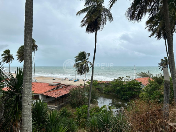 Imagem Terreno à Venda, 3.550 m² em Praia De Caraúbas - Maxaranguape Imagem Terreno à Venda, 3.550 m² em Praia De Caraúbas - Maxaranguape