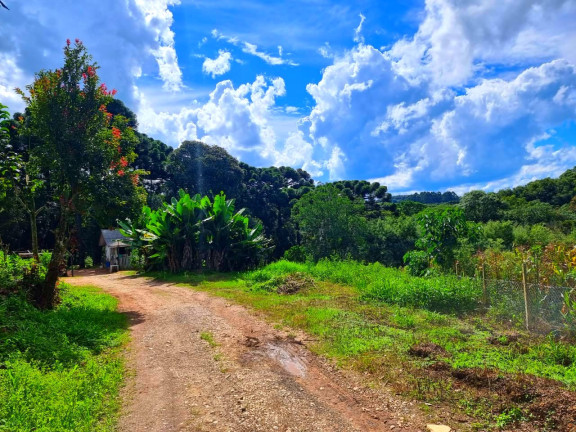 Imagem Chácara com 1 Quarto à Venda, 6.050 m² em Jardim Bela Vista - Balsa Nova Imagem Chácara com 1 Quarto à Venda, 6.050 m² em Jardim Bela Vista - Balsa Nova