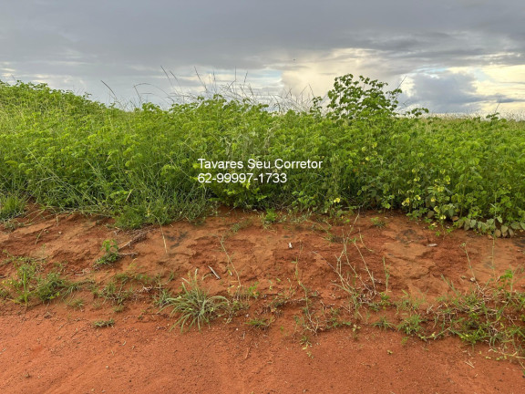 Imagem Imóvel à Venda,  em Zona Rural - Jussara
