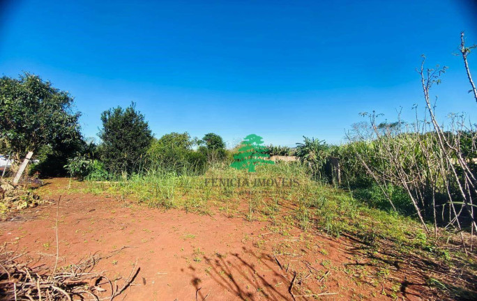 Imagem Chácara com 3 Quartos à Venda, 3.870 m² em Aparecidinha - Santa Terezinha De Itaipu