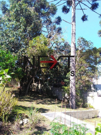 Imagem Terreno à Venda, 1.488 m² em Batel - Curitiba Imagem Terreno à Venda, 1.488 m² em Batel - Curitiba