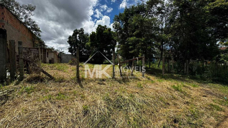 Terreno à Venda, 442 m² em Planta Belvedere - Piraquara
