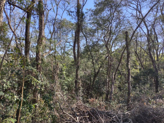 Imagem Imóvel Comercial à Venda,  em éden - Sorocaba