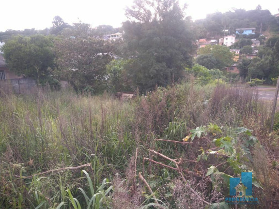 Imagem Terreno à Venda, 495 m² em Estrela - Ponta Grossa Imagem Terreno à Venda, 495 m² em Estrela - Ponta Grossa