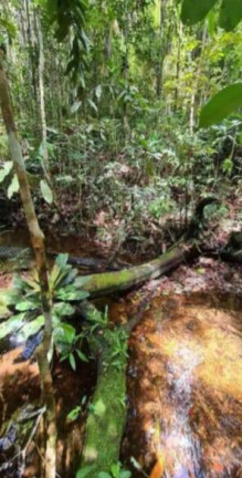 Imagem Chácara à Venda, 2 m² em Serra Grande - Uruçuca - Uruçuca Imagem Chácara à Venda, 2 m² em Serra Grande - Uruçuca - Uruçuca