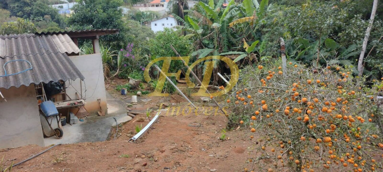Imagem Chácara com 3 Quartos à Venda, 1.000 m² em Luiz Fagundes - Mairiporã Imagem Chácara com 3 Quartos à Venda, 1.000 m² em Luiz Fagundes - Mairiporã