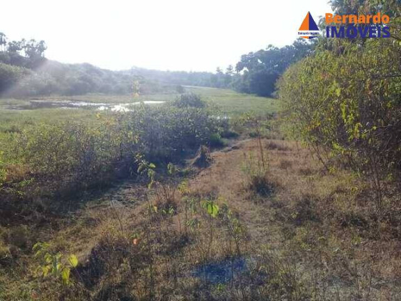 Imagem Fazenda à Venda, 1.485 m² em Passagem Do Franco - Cascavel Imagem Fazenda à Venda, 1.485 m² em Passagem Do Franco - Cascavel