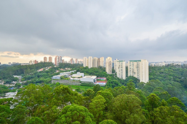 Imagem Imóvel com 3 Quartos à Venda, 189 m² em Vila Andrade - São Paulo