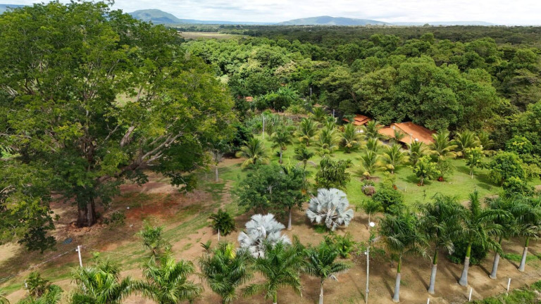 Imagem Chácara com 3 Quartos à Venda, 330.000 m² em Centro - Buritis