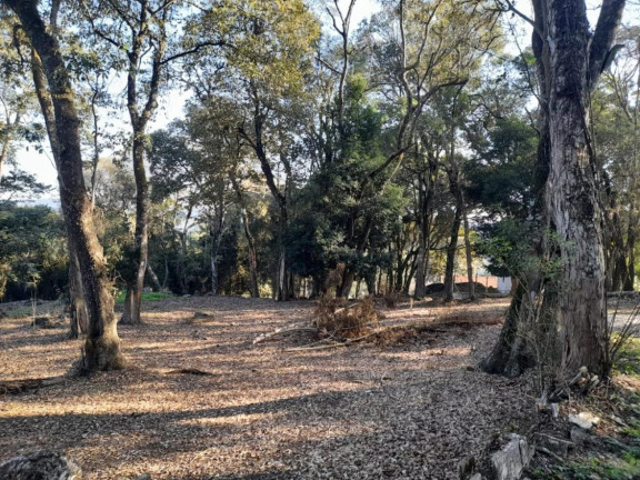Imagem Casa à Venda, em Centro - Ibiúna Imagem Casa à Venda, em Centro - Ibiúna