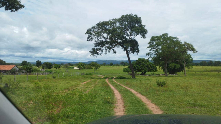 Imagem Fazenda à Venda,  em Rondonópolis