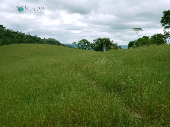 Imagem Imóvel à Venda, 70.000 m² em Zona Rural - Alfredo Wagner Imagem Imóvel à Venda, 70.000 m² em Zona Rural - Alfredo Wagner