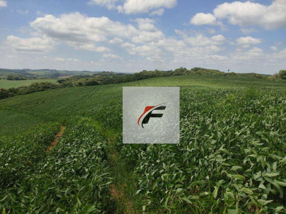 Imagem Chácara com 3 Quartos à Venda, 120 m² em Zona Rural - Lapa Imagem Chácara com 3 Quartos à Venda, 120 m² em Zona Rural - Lapa