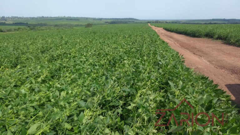 Imagem Fazenda à Venda, 13.000 m² em Jardim Paraíso - Naviraí