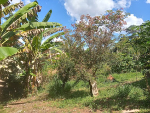Imagem Imóvel com 2 Quartos à Venda, 9.000 m² em Condomínio Rural Clube Campestre De Caeté Juca Vieira - Caeté Imagem Imóvel com 2 Quartos à Venda, 9.000 m² em Condomínio Rural Clube Campestre De Caeté Juca Vieira - Caeté