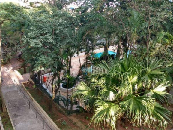 Imagem Apartamento com 1 Quarto à Venda, 43 m² em Vila Londrina - São Paulo Imagem Apartamento com 1 Quarto à Venda, 43 m² em Vila Londrina - São Paulo