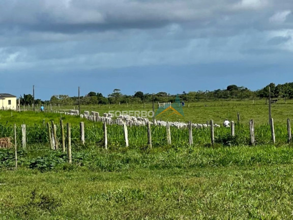 Imagem Imóvel com 4 Quartos à Venda, 5.870.000 m² em Caraiva - Porto Seguro