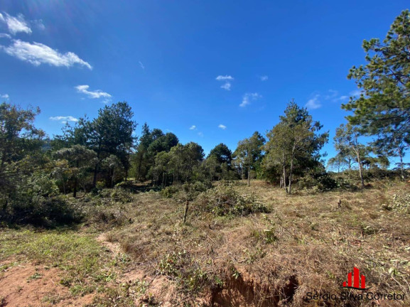 Terreno à Venda, 1.050 m² em Vale Encantado - Campos Do Jordão
