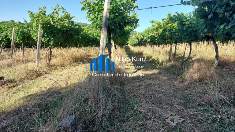 Imagem Chácara à Venda, 12.000 m² em Capela São Jorge - Garibaldi