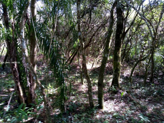 Imagem Terreno à Venda, em Depois Do Centro - Ibiúna Imagem Terreno à Venda, em Depois Do Centro - Ibiúna