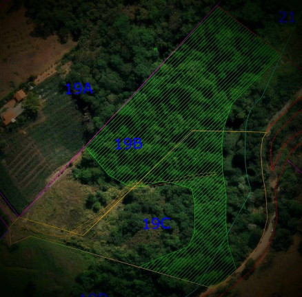 Terreno à Venda, 20.000 m² em Monte Alegre - Vinhedo