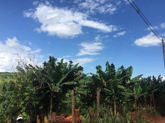 Imagem Chácara à Venda, 4 m² em Rural - Avaré Imagem Chácara à Venda, 4 m² em Rural - Avaré