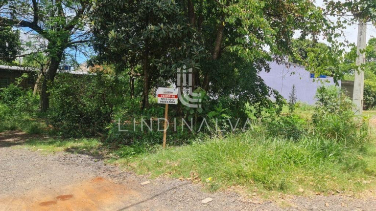 Imagem Terreno à Venda, 310 m² em Campos Do Iguaçu - Foz Do Iguacu Imagem Terreno à Venda, 310 m² em Campos Do Iguaçu - Foz Do Iguacu
