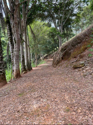 Chácara com 6 Quartos à Venda, 150.000 m² em Monte Belo - Santa Rita Do Sapucaí